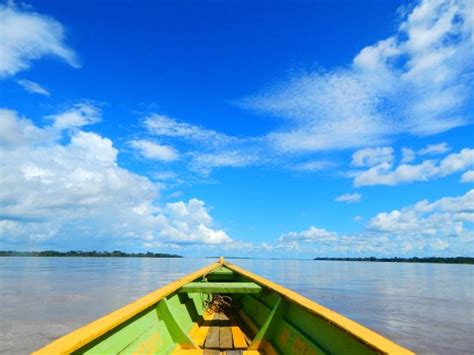 Amazon Tour (Leticia) - All You Need to Know BEFORE You Go