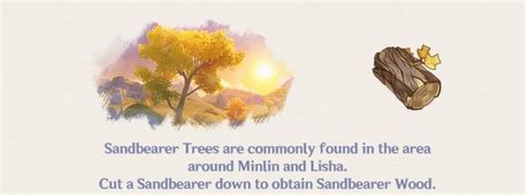 All Genshin Impact Wood Locations To Help You Build Your Home