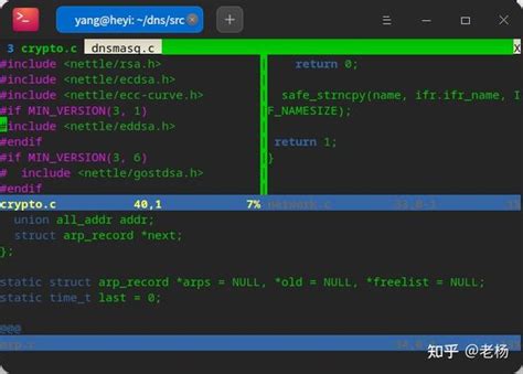 Simvim Tutorial 的图像结果