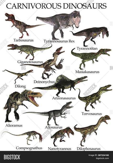 Carnivorous Dinosaurs Image & Photo (Free Trial) | Bigstock
