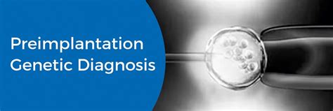 Preimplantation Genetic Diagnosis (PGD) & Treatment | Milann The ...