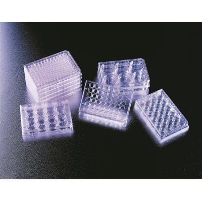 Buy Corning Falcon 353046 6 Well Plate with Lid Clear Flat Bottom TC ...