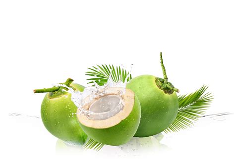 Coconut Juice Dehydration at Michael Boyles blog