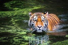 Image result for PostgreSQL All SQL State Code