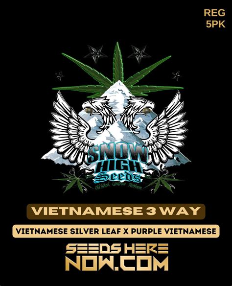 Buy Vietnamese 3 Way Regular Seeds - Potent and Flavorful