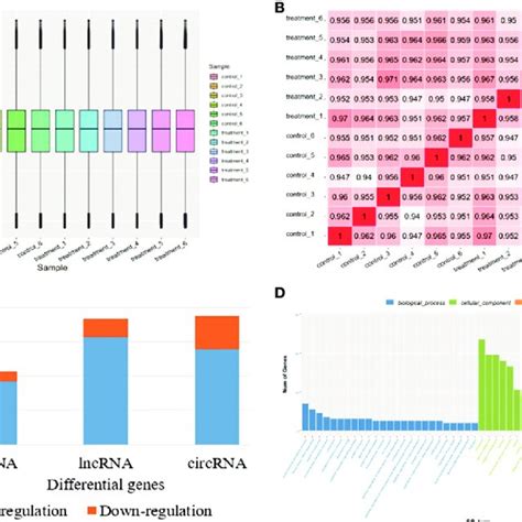 Microarray Data 的图像结果