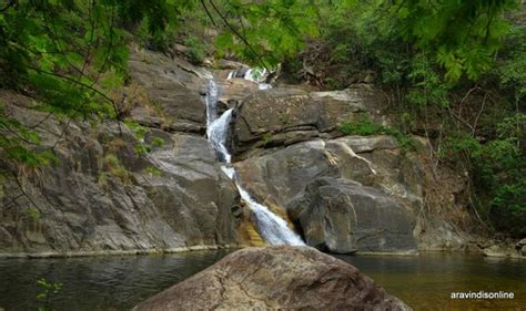 Trek to water falls - Reviews, Photos - Meenmutty Falls - Tripadvisor