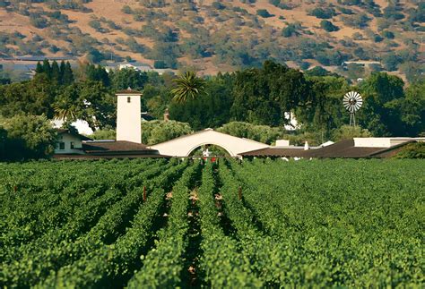 The 17 Best Napa Valley Wineries to Visit in 2024 - The Planet D