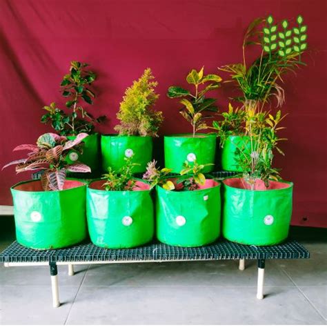 2Step LARGE (60x34x24 In.) 2SL30 Stand Model for Terrace Garden ...