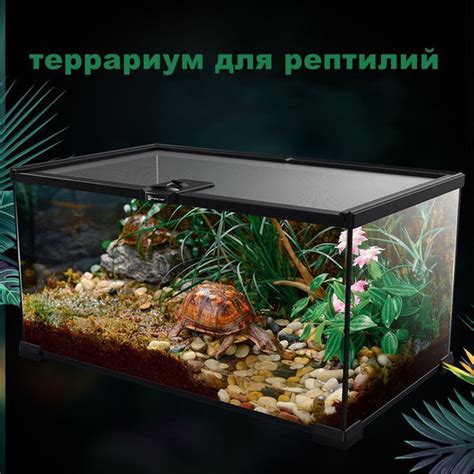 Террариум для рептилий, змей, пауков, 30x20x15см купить на OZON по ...