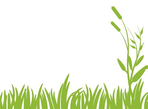 Grass Clipart in Nature - 59 cliparts