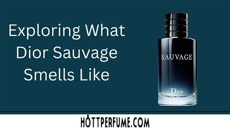 Exploring What Dior Sauvage Smells Like - HottPerfume.com