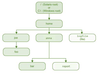 Image result for Find File Path Python