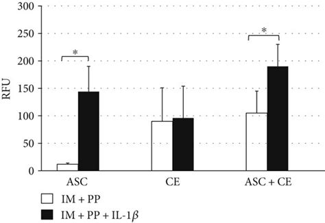 Image result for MMP Pool