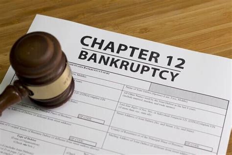 Explaining Chapter 11 Bankruptcy 的图像结果