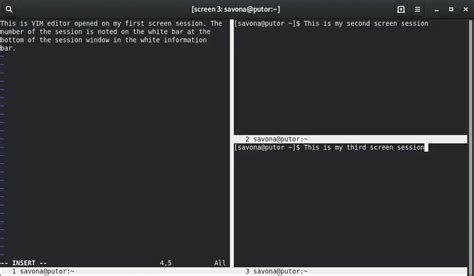 Image result for Unix Screen Command