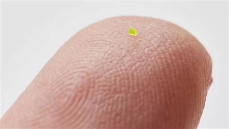 MSCHF's Microscopic ‘Louis Vuitton’ Handbag, Smaller Than Grain of Salt ...