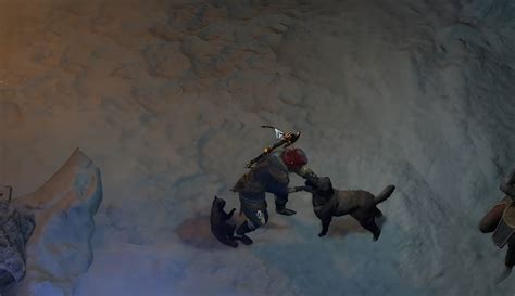 Can I pet the dogs in Diablo 4? | Windows Central
