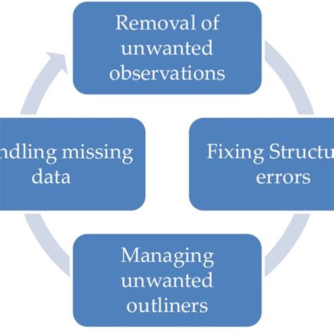 Data Cleaning Workflow 的图像结果