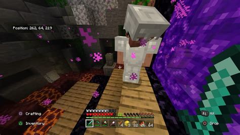 Image result for Nether Update Emotes