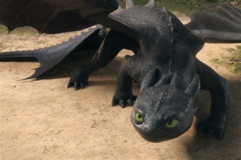 Image result for Toothless Model Live-Action