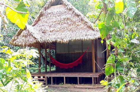 MADIDI JUNGLE ECOLODGE (Madidi National Park) - Lodge Reviews & Photos ...