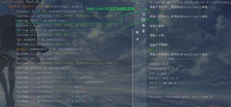 Next Line Java 的图像结果