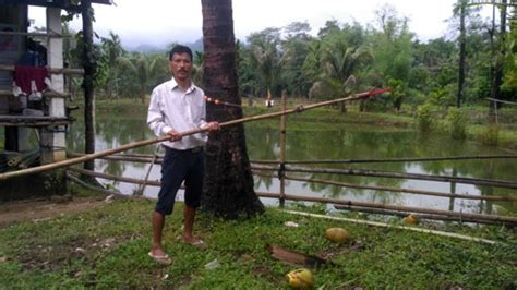 Coconut Harvesting Tool and Eri Cocoon Opener - National Innovation ...