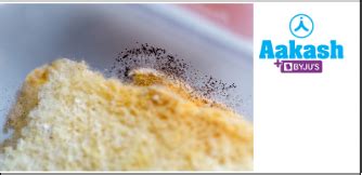 Thallophyte in Biology: Definition, Types and Importance | AESL