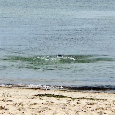 KEYES MEMORIAL BEACH (2025) All You Need to Know BEFORE You Go (with ...