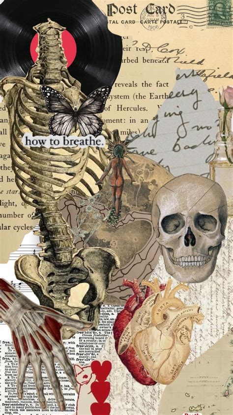 Check out SundropButtercup's Shuffles Medecine board #medecine #medical #medicalstudent ... - medical art