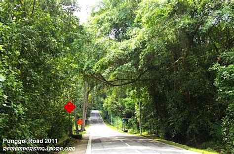 Punggol Village Heritage Trail, Punggol Coast MRT Station (NE18), Pasir ...