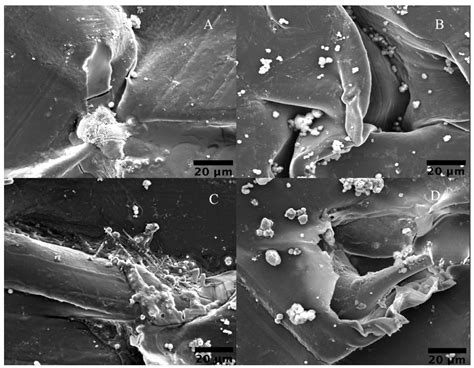 Low-Temperature Plasmas Improving Chemical and Cellular Properties of ...