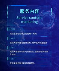 专业网站seo推广公司 的图像结果