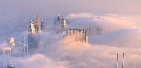 Image result for Types Fog