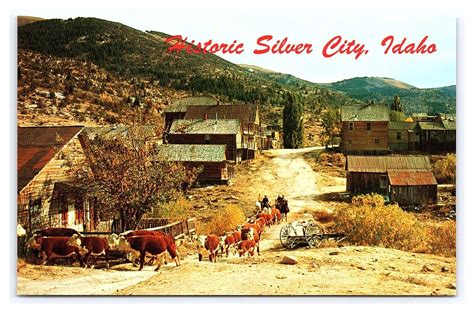 Historic Silver City Idaho Postcard Ghost Town Cattle Drive | United ...
