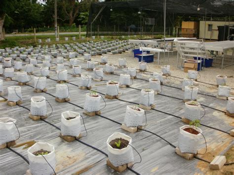 Image result for Home Fertigation System