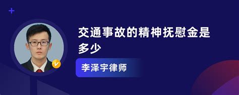 交通肇事引起的附带民事赔偿能否主张精神损害抚慰金 - 知乎