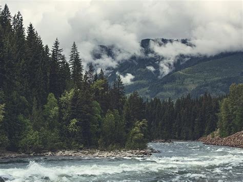 Image result for BC Energy Step Code Training