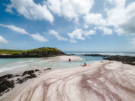 Floreana Island Animals