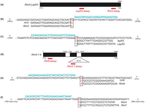 Molecular Markers for Identifying Resistance Genes in Brassica napus