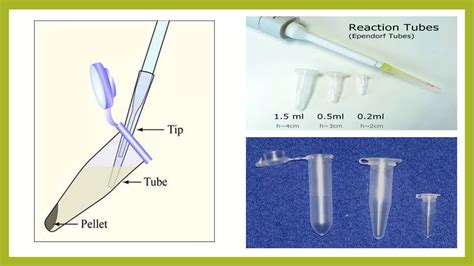 Biotechnology Lab Tools 的图像结果