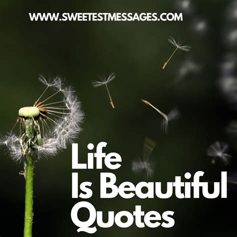 100 Life Is Beautiful Quotes - Sweetest Messages