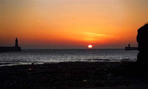 Paint Shop Pro Tutorials 的图像结果