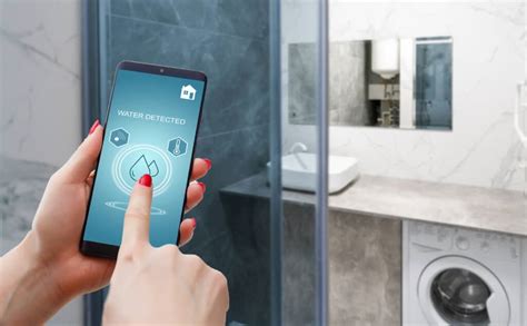 Beyond the Basics: Smart Home Security Features