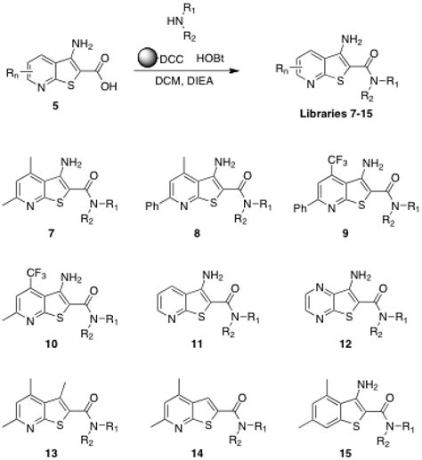 Lead Compound 的图像结果