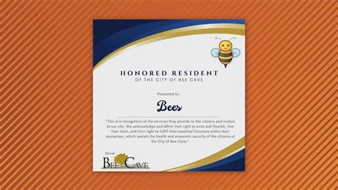 Bee Cave, Texas, declares bees 'honorary residents' | kvue.com