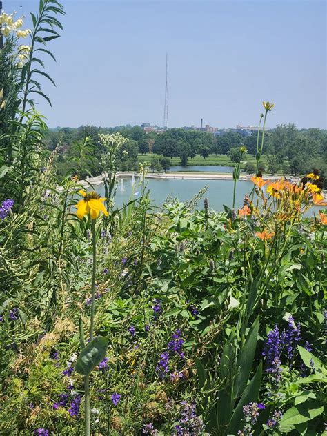 Maine, Milwaukee, Wisconsin, 6 July 2024 | AllEvents.in