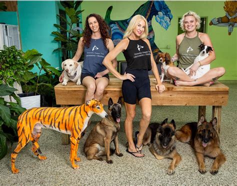 AKC CANINE GOOD CITIZEN CERTIFICATION COURSE, Dunedin Happy Tails, 14 ...