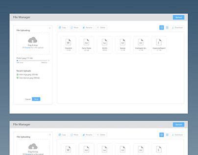 Image result for File Manager Interface